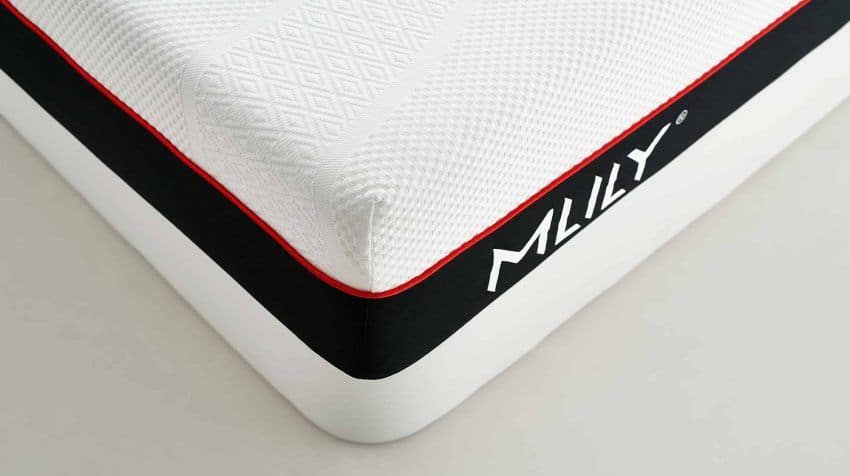 mlily ego