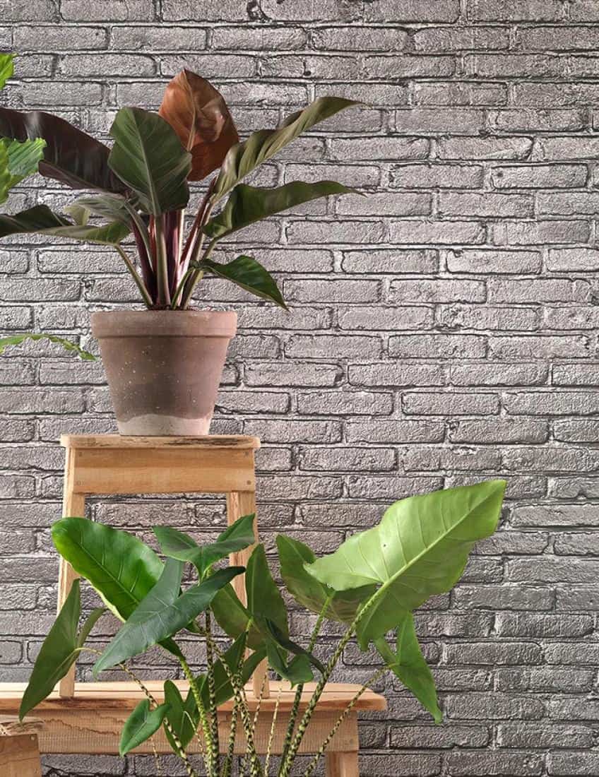 papel pintado
