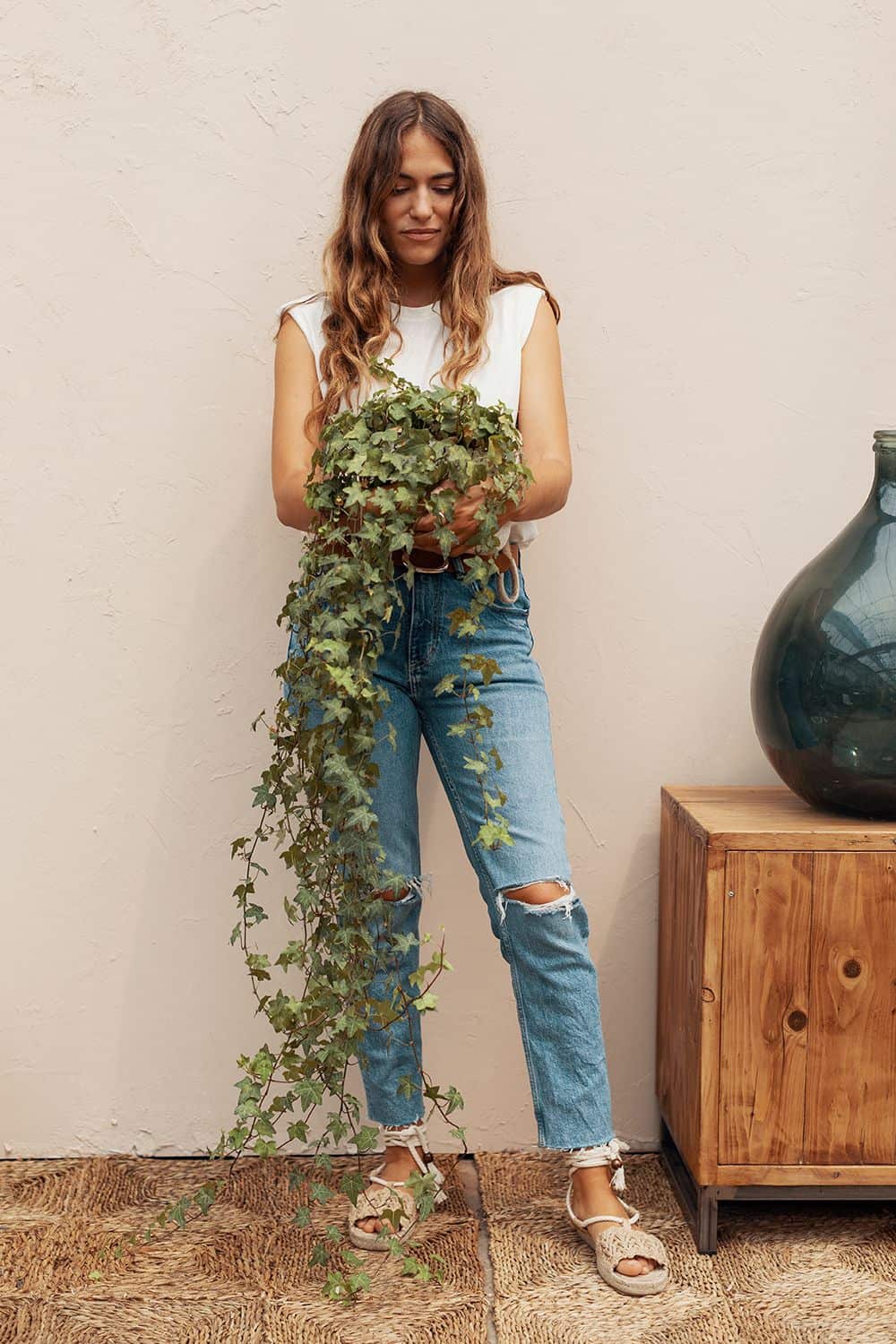 Las 5 mejores plantas para purificar tu hogar